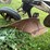 #7469-•-john-deere-plow-image-20