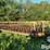 elk-creek-manufactuting-portable-hay-feeder-image-3