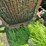 ji-case-tractor-image-53