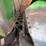 john-deere-2rrc-image-10