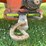 allis-chalmers-u-image-50