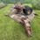 implement-transport-trailer-image-6