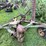 #7472-•-john-deere-sickle-mower-image-6