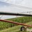 peck-1004-image-14