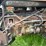 massey-ferguson-97-image-37