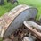 mccormick-deering-10-20-image-49