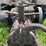 john-deere-unstyled-model-d-image-16
