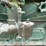 huber-image-21