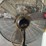 #2090-•-continental-dynamics-pedestal-fan-(wall-g)-image-6