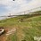 peck-1004-image-5