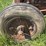 allis-chalmers-u-image-56