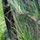 john-deere-d-image-28