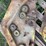 john-deere-110-image-81
