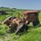 allis-chalmers-model-uc-image-5