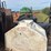 cattle-waterers-image-2