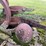 #7492-•-antique-plow-image-15