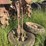 allis-chalmers-25-40-parts-image-14