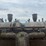 20-35-twin-city-image-22