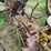 #6678-•-case-parts-tractor-image-14