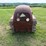 lombardini-crawler-original-image-2