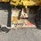 #1371-•-cub-lo-boy-154-(of)-image-7