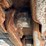 2016-link-belt-80-x3-image-19