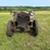 alfa-romeo-baililla-all-original!-image-3