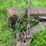 caterpillar-r5-crawler-and-blade-image-51