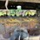 caterpillar-ten-crawler-image-27