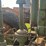 john-deere-model-a-image-20
