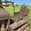 caterpillar-ten-crawler-image-30