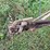 #7460-•-unknown-brand-2-bottom-plow-image-12