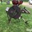 belt-drive-buzz-saw-image-4