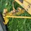minneapolis-moline-g1350-image-18