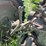 john-deere-a-image-33
