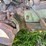 john-deere-g-image-18