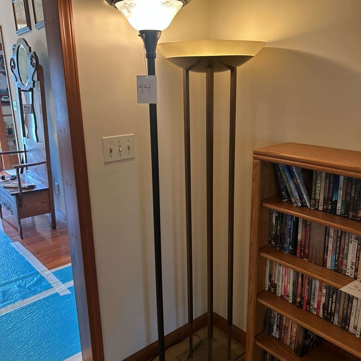 (2) Floor Lamps