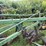 #7464-•-john-deere,-moldboard-plow-image-19