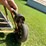 portable-grain-auger-image-12