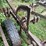 #7451-•-pull-behind-field-cultivator-image-14
