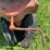 allis-chalmers-model-uc-image-52