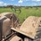 massey-harris-image-48