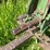 john-deere-model-b-image-39