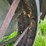 john-deere-d-image-39