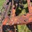 ji-case-pull-type-plow-image-42