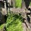 john-deere-model-a-image-36