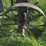 mccormick-deering-titan-10-20-image-13
