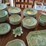 adams---calyx-ware-dishes-set---english-ironstone-image-7