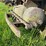 sullivan-air-compressor-image-23