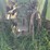 john-deere-1020-image-40